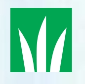 DLF